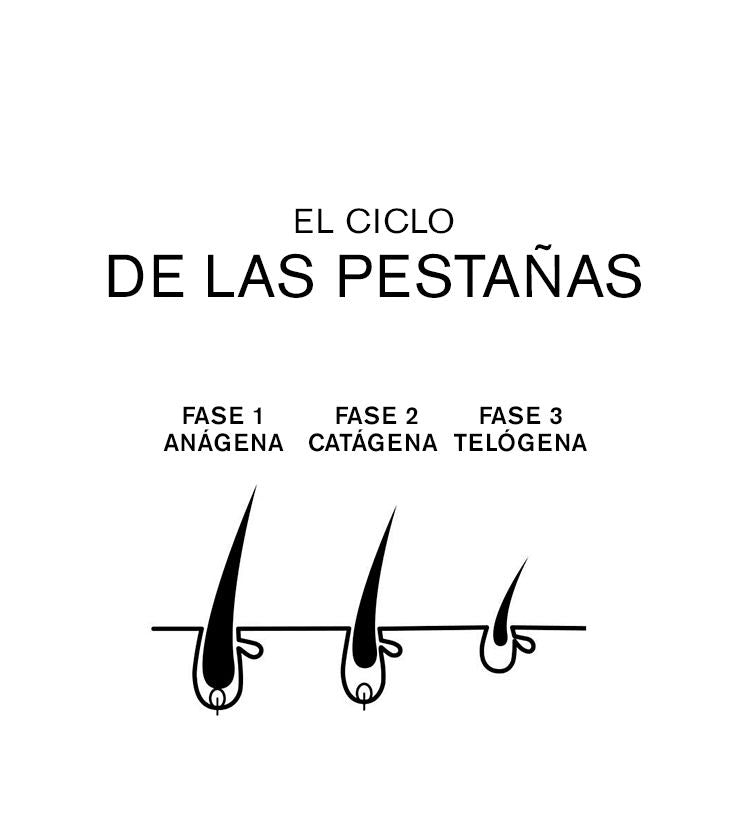 Ciclo de Vida de las Extensiones de Pestañas: Qué Esperar y Cómo Prolongarlo